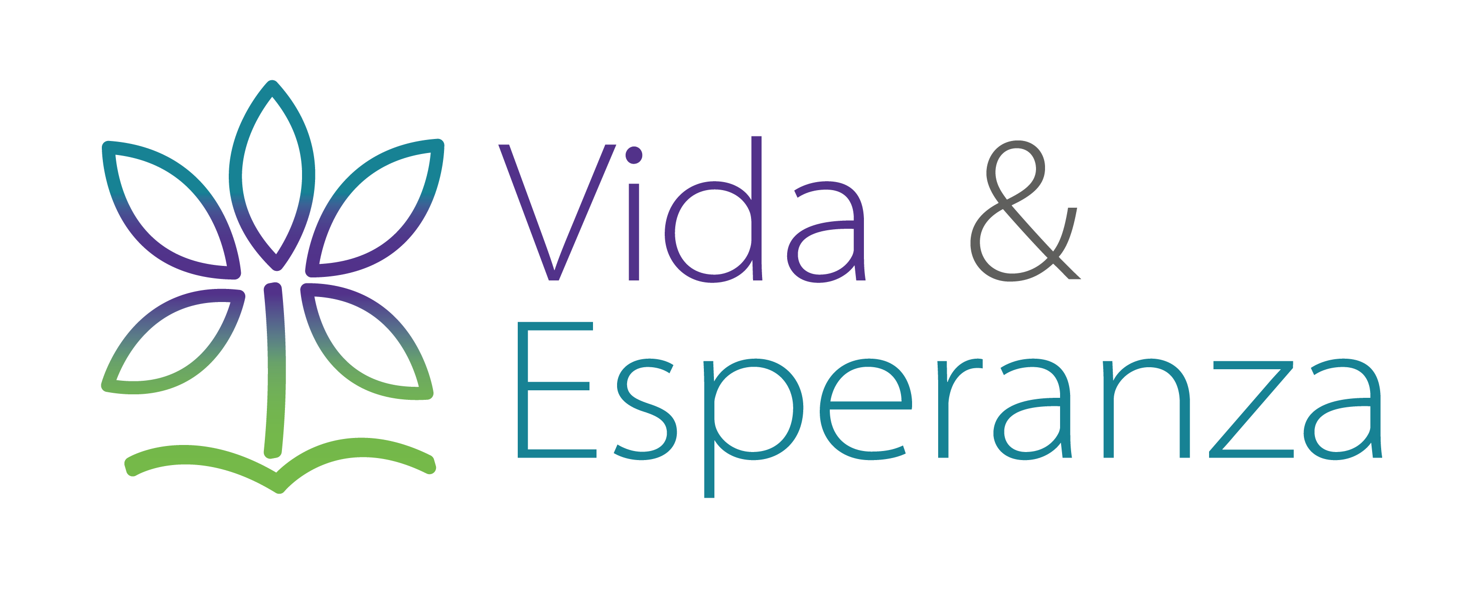 Logo V&E